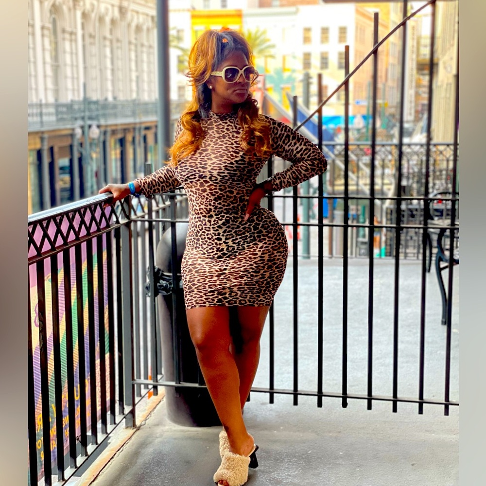Simple leopard print dress sheer material
